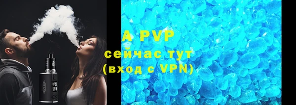 гидра Новозыбков
