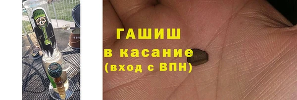 стаф Новокубанск