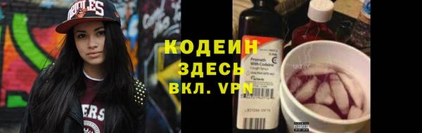гидра Новозыбков