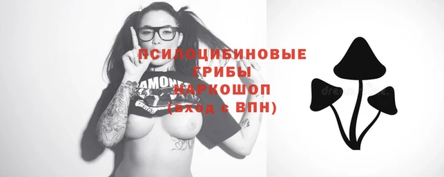 спайс Няндома