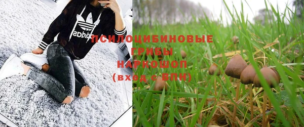 гидра Новозыбков