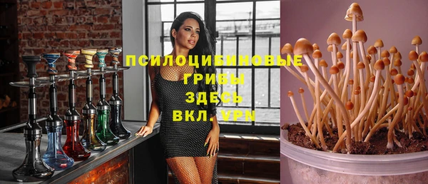 трава Новодвинск