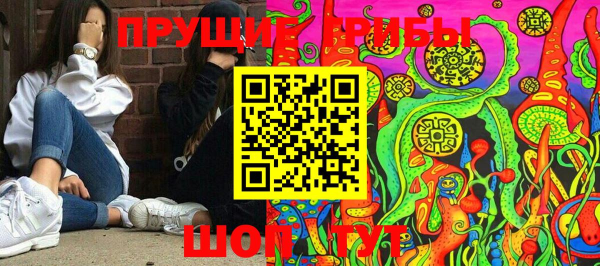 Россия  Псилоцибиновые грибы Psilocybine cubensis  Вход с VPN 