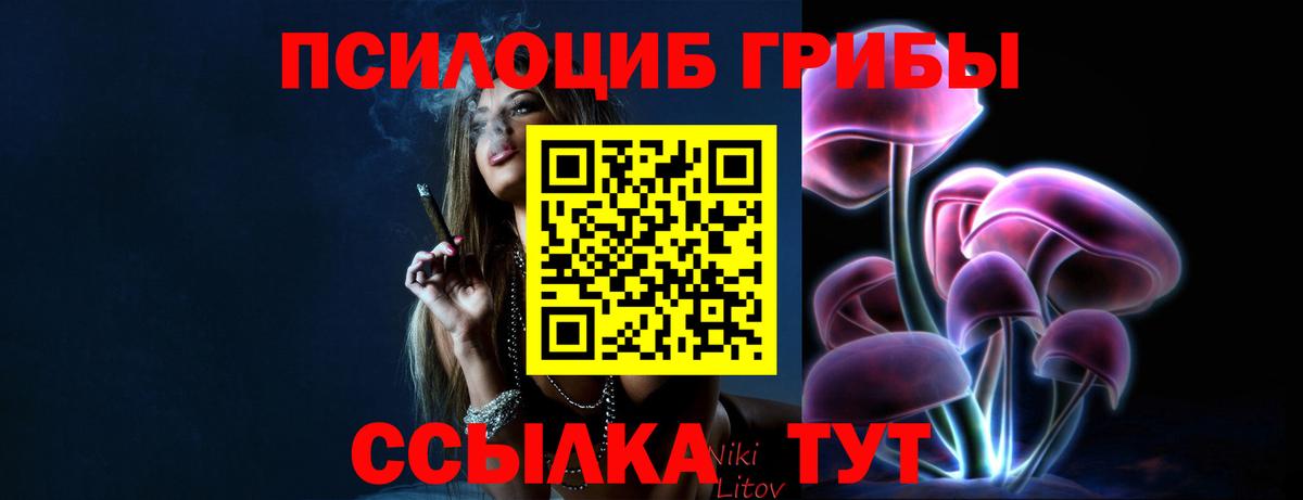 Псилоцибиновые грибы Psilocybe Россия